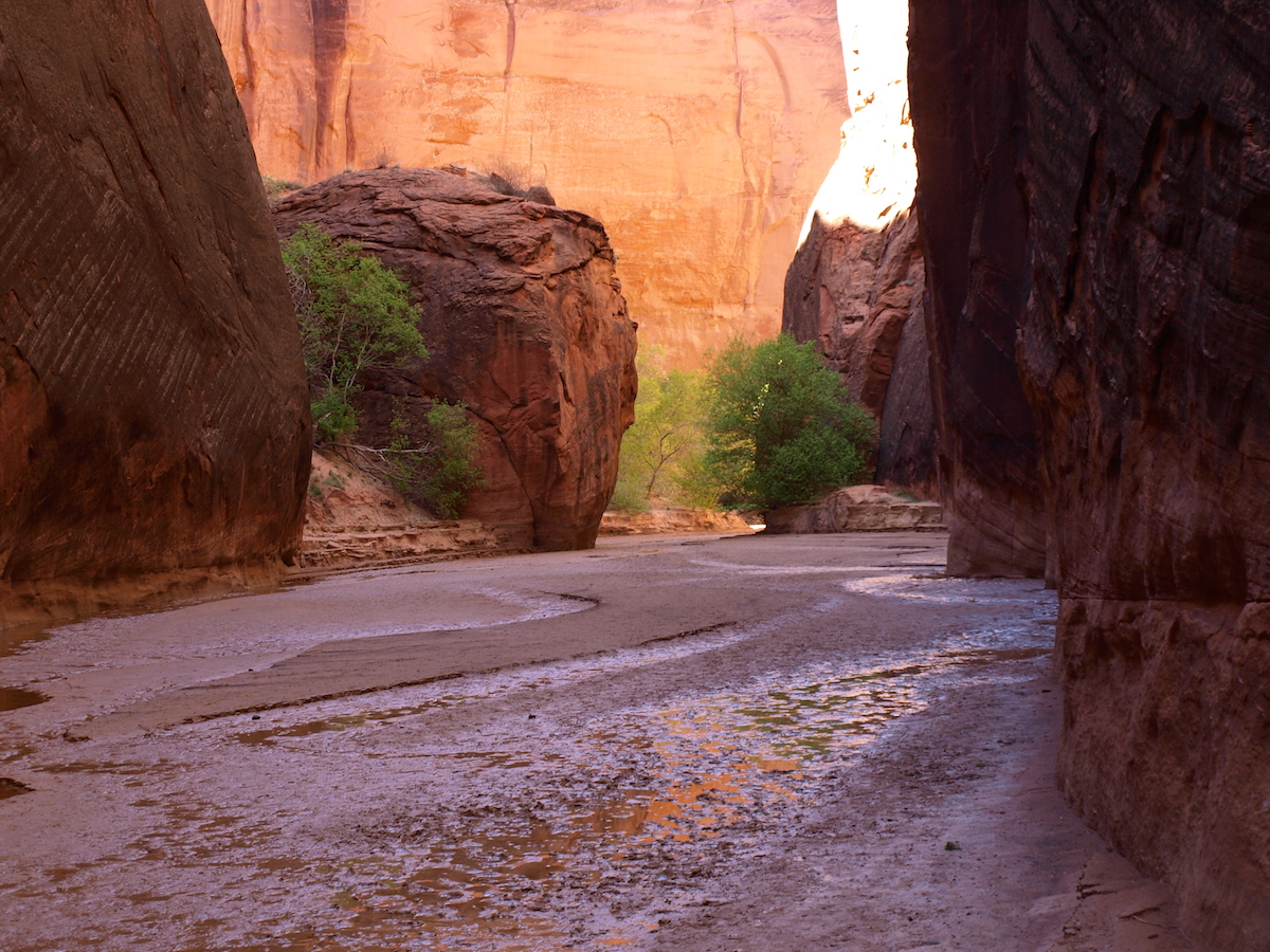 Buckskin Gulch