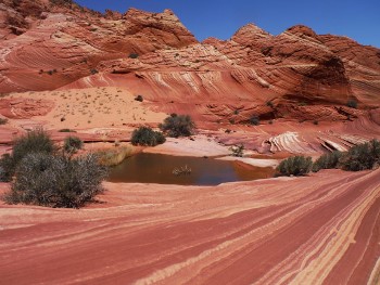 Upper Sand Cove in Coyote Buttes North
