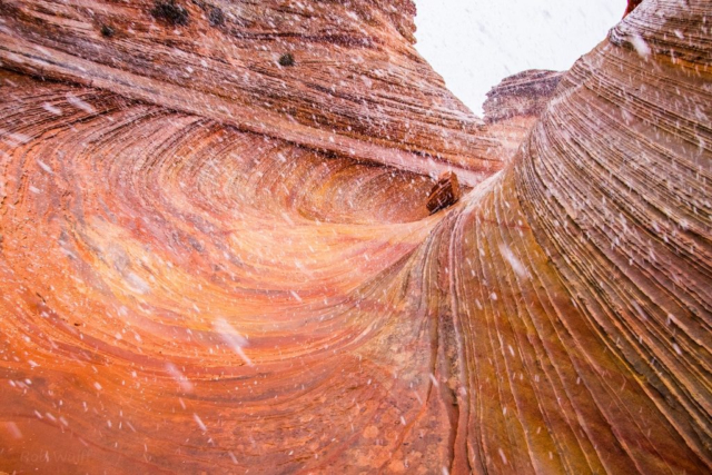 Coyote Buttes South tours