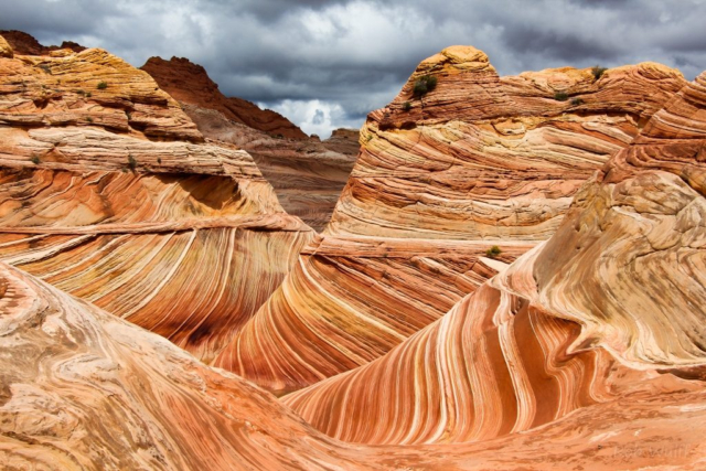 Coyote Buttes North hiking tours